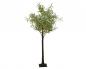 Preview: Lumineo Micro LED Blattbaum innen & aussen 220cm & 600 LED Warmes Weiss